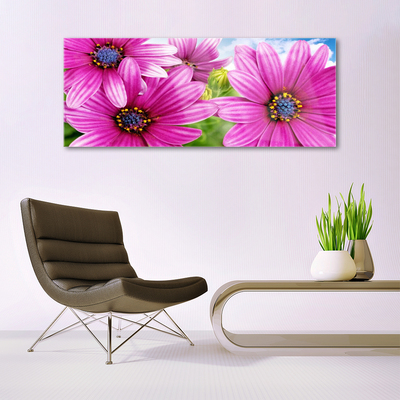 Acrylic Print Flowers floral pink yellow blue
