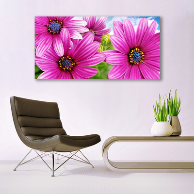 Acrylic Print Flowers floral pink yellow blue