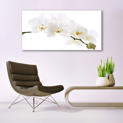 Acrylic Print Flowers floral white