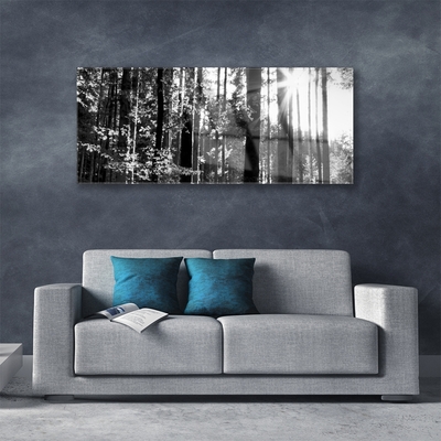 Acrylic Print Forest nature grey