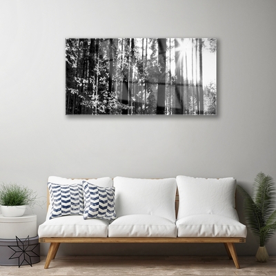 Acrylic Print Forest nature grey