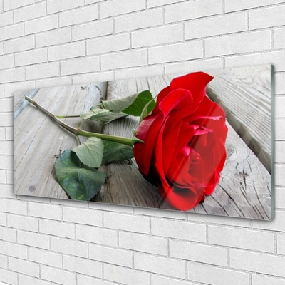 Acrylic Print Rose floral red green