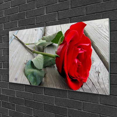 Acrylic Print Rose floral red green