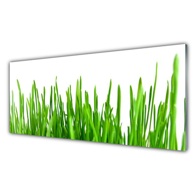 Acrylic Print Grass floral green