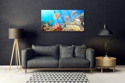 Acrylic Print Coral reef landscape multi