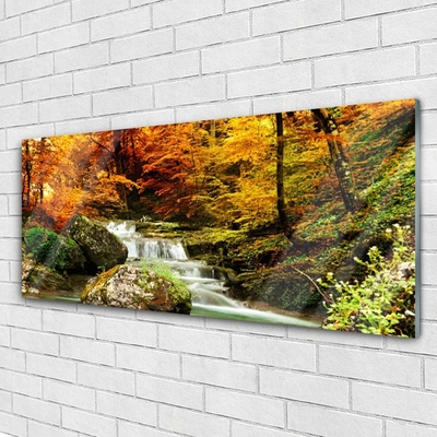 Acrylic Print Waterfall forest nature white green yellow grey