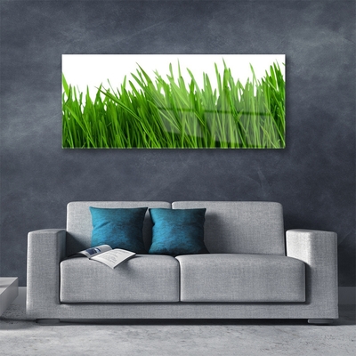 Acrylic Print Grass floral green