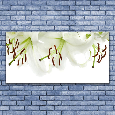Plexiglas® Wall Art Flowers floral white green brown