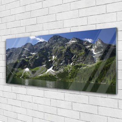 Plexiglas® Wall Art Mountains lake forest landscape green grey