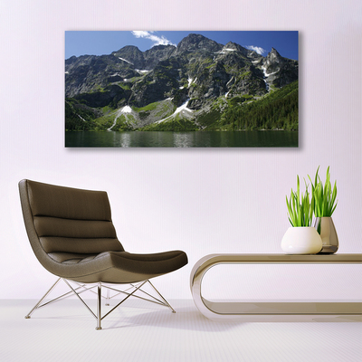 Plexiglas® Wall Art Mountains lake forest landscape green grey