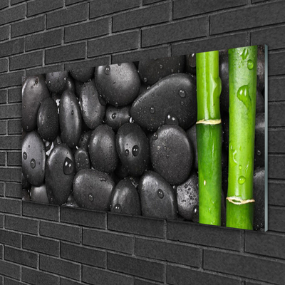 Plexiglas® Wall Art Bamboo stalk stones art green black