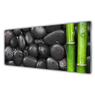 Plexiglas® Wall Art Bamboo stalk stones art green black