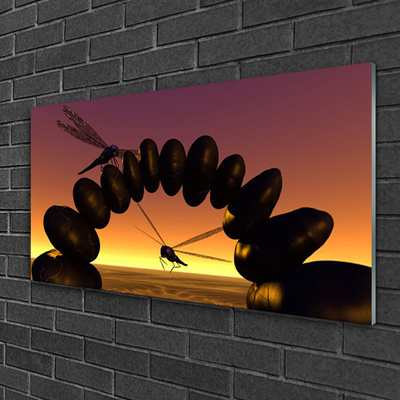 Plexiglas® Wall Art Dragonflies stones art black yellow