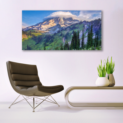 Plexiglas® Wall Art Mountain forest landscape grey green