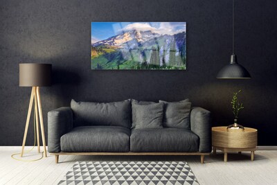 Plexiglas® Wall Art Mountain forest landscape grey green