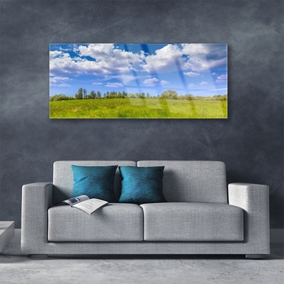 Plexiglas® Wall Art Meadow grass landscape green
