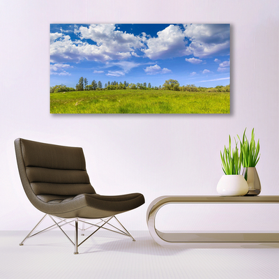 Plexiglas® Wall Art Meadow grass landscape green