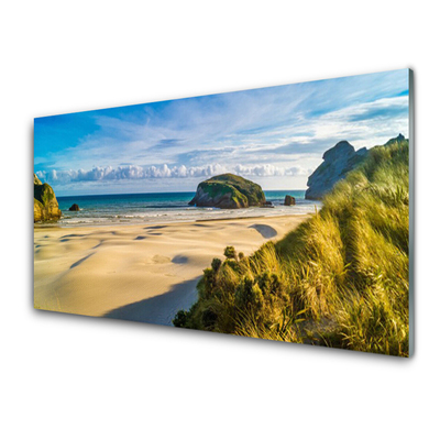 Plexiglas® Wall Art Beach rocks landscape brown grey green