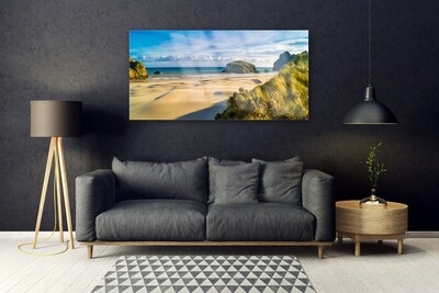 Plexiglas® Wall Art Beach rocks landscape brown grey green