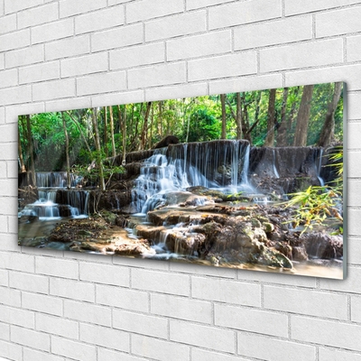 Plexiglas® Wall Art Waterfall forest nature brown green white