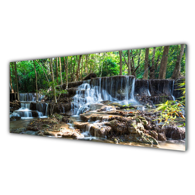 Plexiglas® Wall Art Waterfall forest nature brown green white