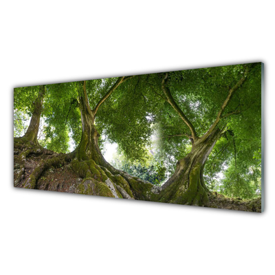 Plexiglas® Wall Art Trees nature brown green