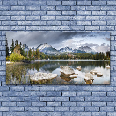 Plexiglas® Wall Art Mountain forest lake landscape grey brown green