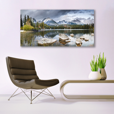 Plexiglas® Wall Art Mountain forest lake landscape grey brown green