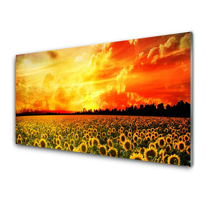 Plexiglas® Wall Art Meadow sunflowers floral green yellow brown