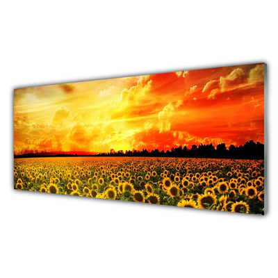 Plexiglas® Wall Art Meadow sunflowers floral green yellow brown