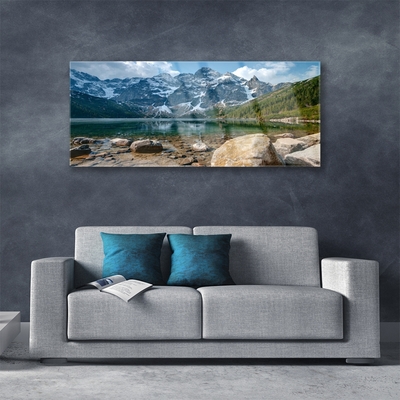 Plexiglas® Wall Art Mountain forest lake stones landscape grey green brown