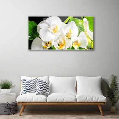 Plexiglas® Wall Art Petals floral white green