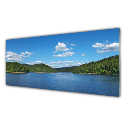 Plexiglas® Wall Art Lake forest landscape green blue