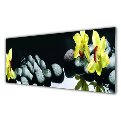Kitchen Splashback Flower stones floral yellow black