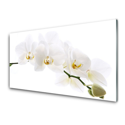 Kitchen Splashback Flowers floral white