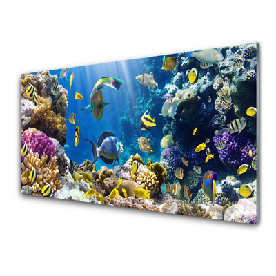 Kitchen Splashback Coral reef nature multi