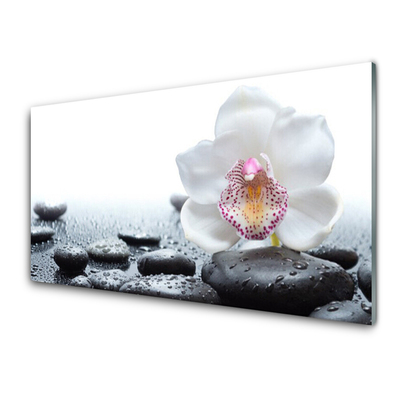 Kitchen Splashback Flower stones art white black