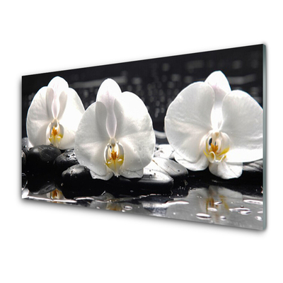 Kitchen Splashback Flower stones floral white black