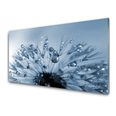 Kitchen Splashback Dandelion floral blue