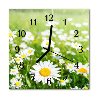 Glass Kitchen Clock Daisies flowers & plants white