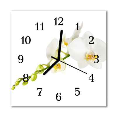 Glass Wall Clock Orchid flowers white
