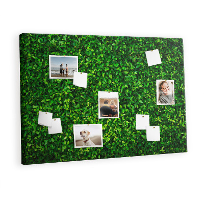 Pin board Leaves nature wall