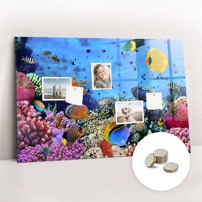 Magnetic board for kids Underwater life