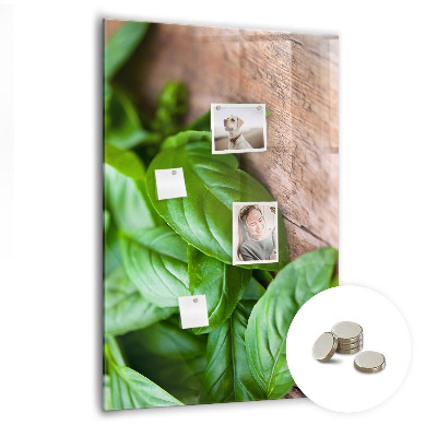 Kitchen magnetic board Basil leaves