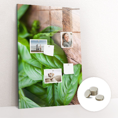 Kitchen magnetic board Basil leaves