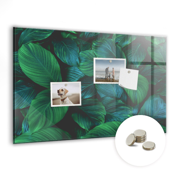Magnetic board Nature leaves