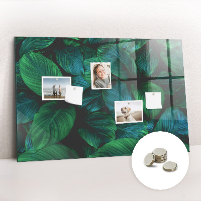 Magnetic board Nature leaves