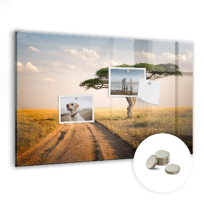 Decorative magnetic board Landscape of Africa