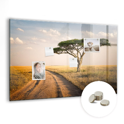 Decorative magnetic board Landscape of Africa