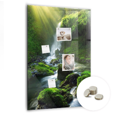 Magnetic board for office Waterfall with rocks